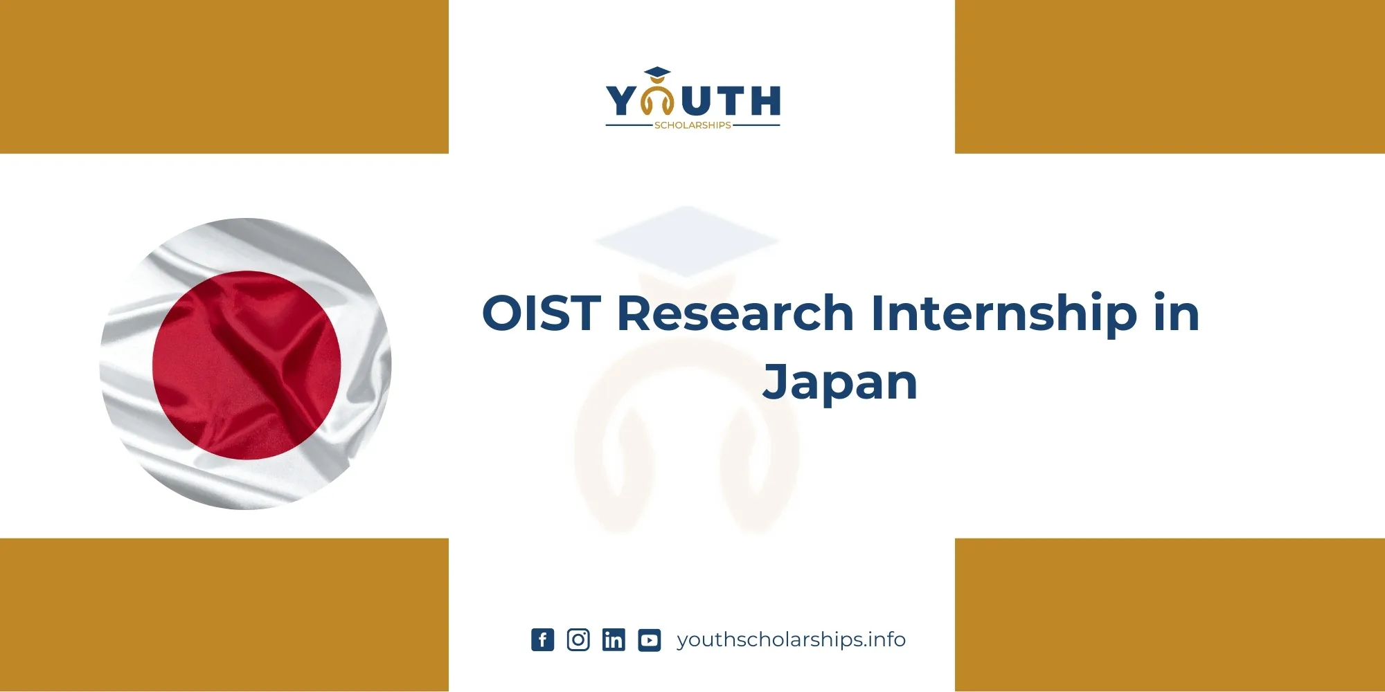 OIST Research Internship in Japan | Fully Funded